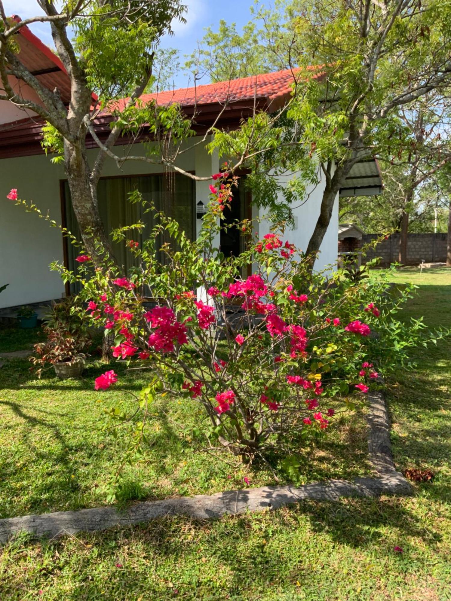 Nature Resort Полоннарува Экстерьер фото